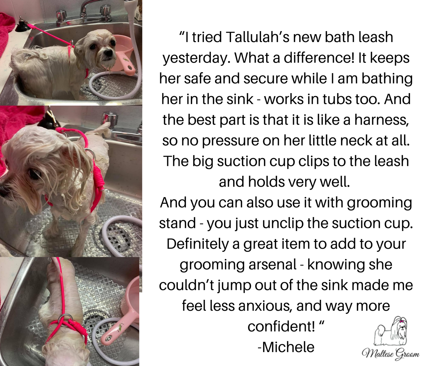 Dog Grooming Leash for Bathing Tub & Grooming Table