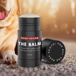 Balm for Healing Dog Paws