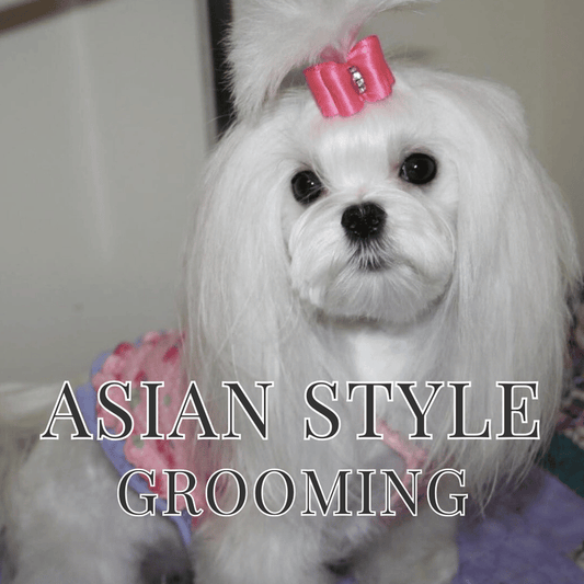 Asian Style Dog Grooming