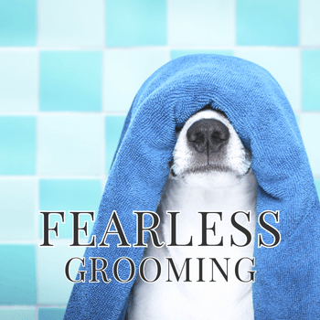 Fearless Dog Grooming