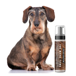 Pet Waterless Shampoo