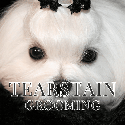 Tearstain Dog Grooming Course