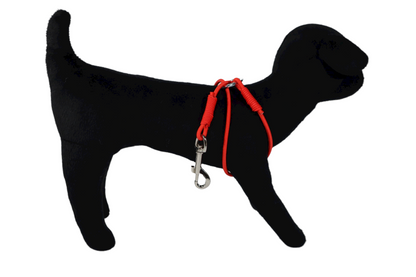 Dog Grooming Leash for Bathing Tub & Grooming Table